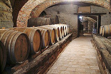 Botti di vino in fila in un'azienda vinicola in Piemonte.