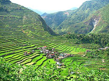 Dalla cima di Batad, un villaggio di Banaue, ad Ifugao.