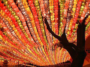 Lanterne di carta al Tempio Jogyesa per il Festival delle Lanterne del Loto, che celebra il compleanno del Buddha.