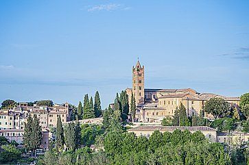 Basilica di San Francesco a Siena, e la natura circostante.