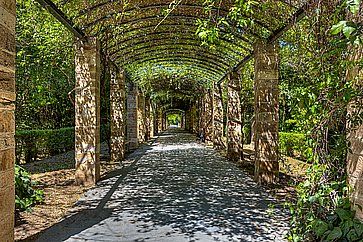 Il Giardino Nazionale (ex Giardino Reale) di Atene.