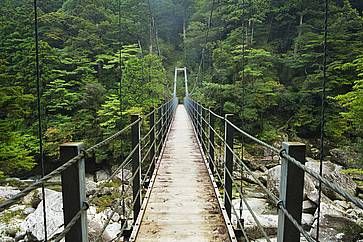 Un ponte sospeso a Yakushima.