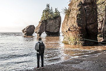 Formazioni rocciose al Hopewell Rocks in Canada.