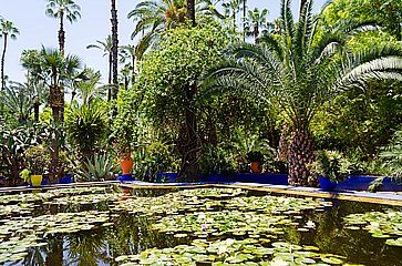 Il giardino Majorelle a Marrakech.