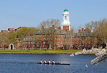 Canottieri lungo il fiume vicino all'università di Harvard.