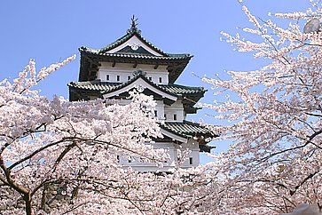 Il castello di Hirosaki contornato da fiori di ciliegio.