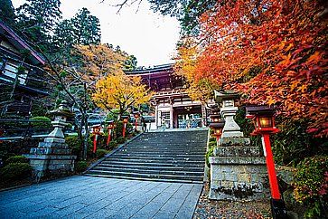 Il tempio Kurama Dera in autunno.