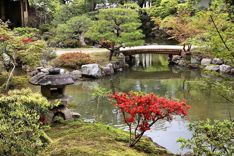 Giardino giapponese con un ponte di legno e azalee in fiore a Isuien Garden, Nara.