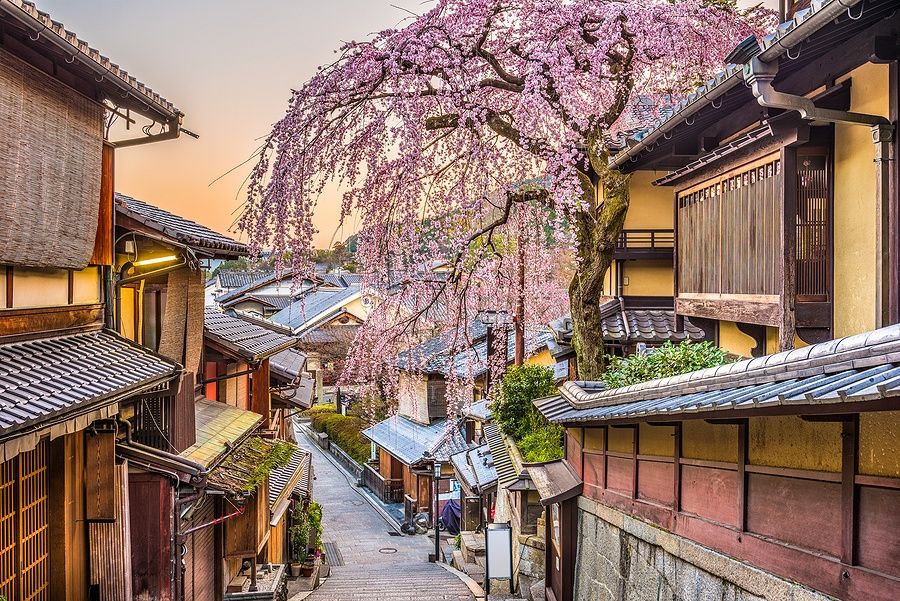 Strada storica a Kyoto con fiori di ciliegio in primavera.