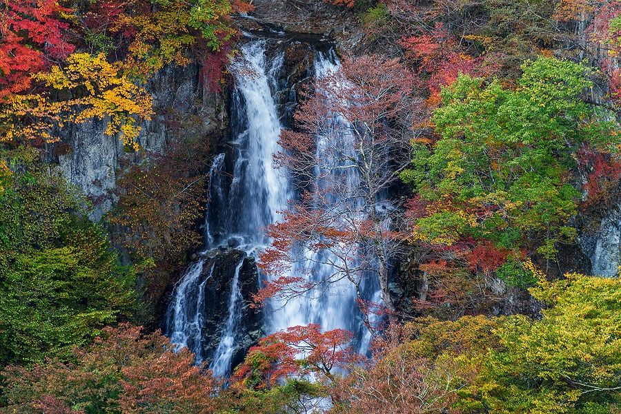 Cascata Kirifuri circondata da foglie autunnali dai colori vivaci a Nikko, Giappone.