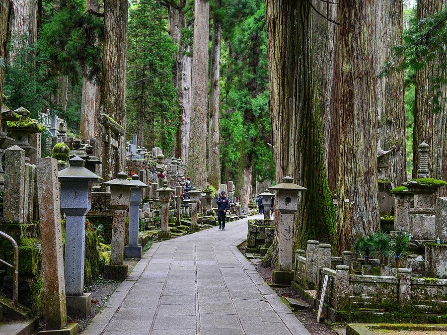 Sentiero tra alberi e lanterne nel cimitero Okunoin, monte Koya.