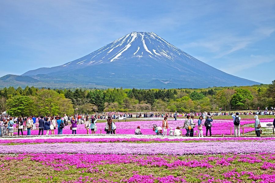 Campi di Shibazakura e Monte Fuji con persone al festival in Giappone.