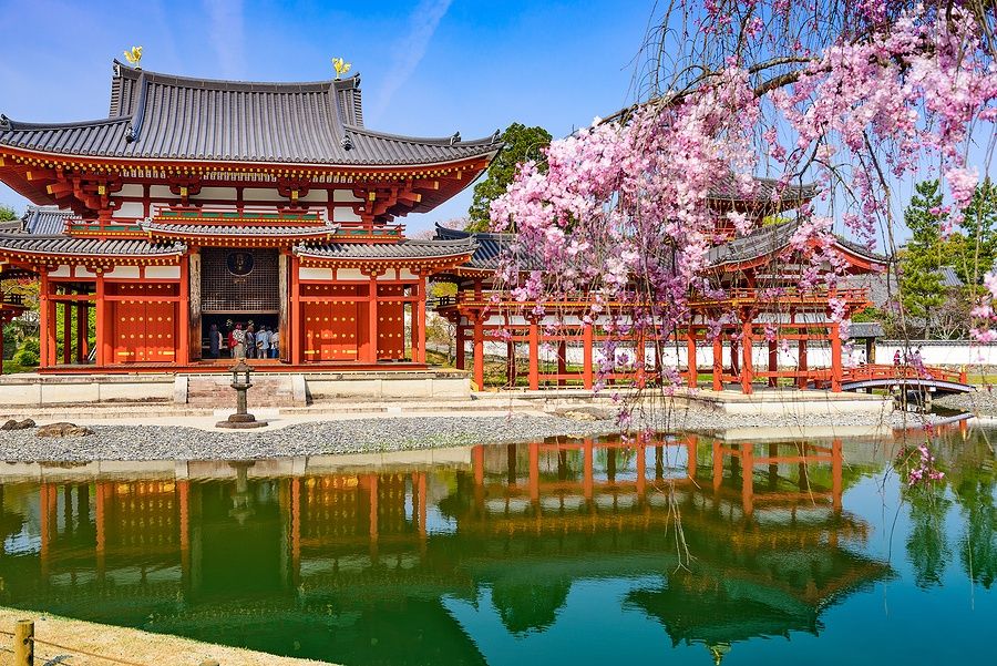 Tempio Byodo-in a Uji, Kyoto, con fiori di ciliegio e stagno.