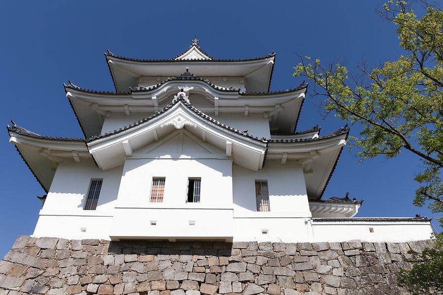Castello di Iga Ueno con mura in pietra sotto un cielo blu.