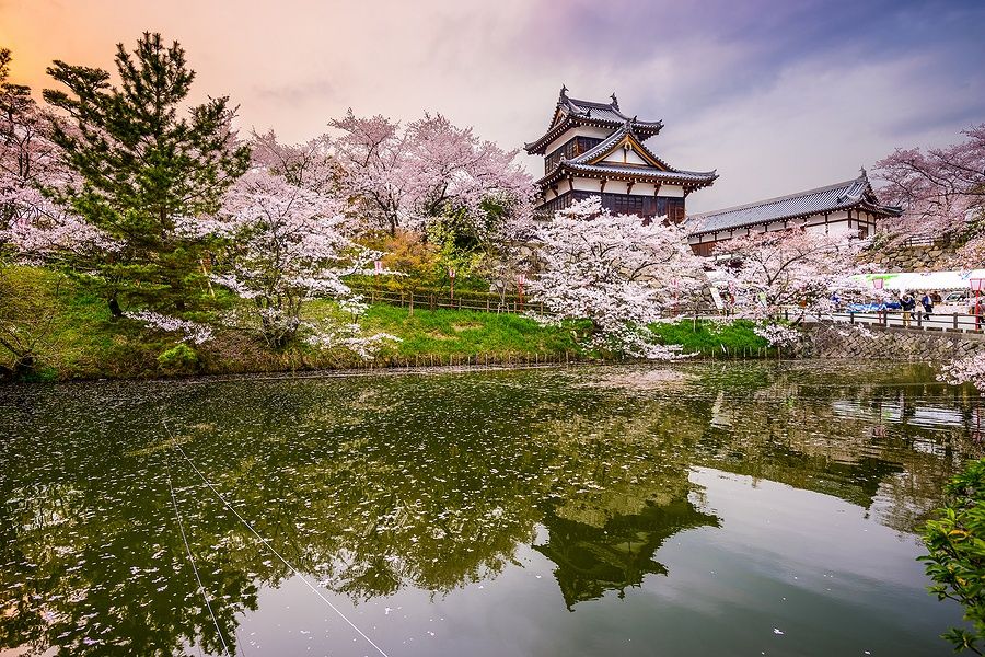 Veduta di Koriyama Castle a Nara, Giappone, con ciliegi in fiore e laghetto riflettente.