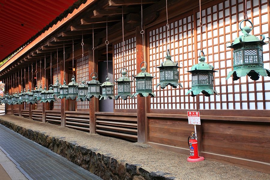 Lanterne di bronzo sospese al santuario Kasuga Taisha a Nara, Giappone.