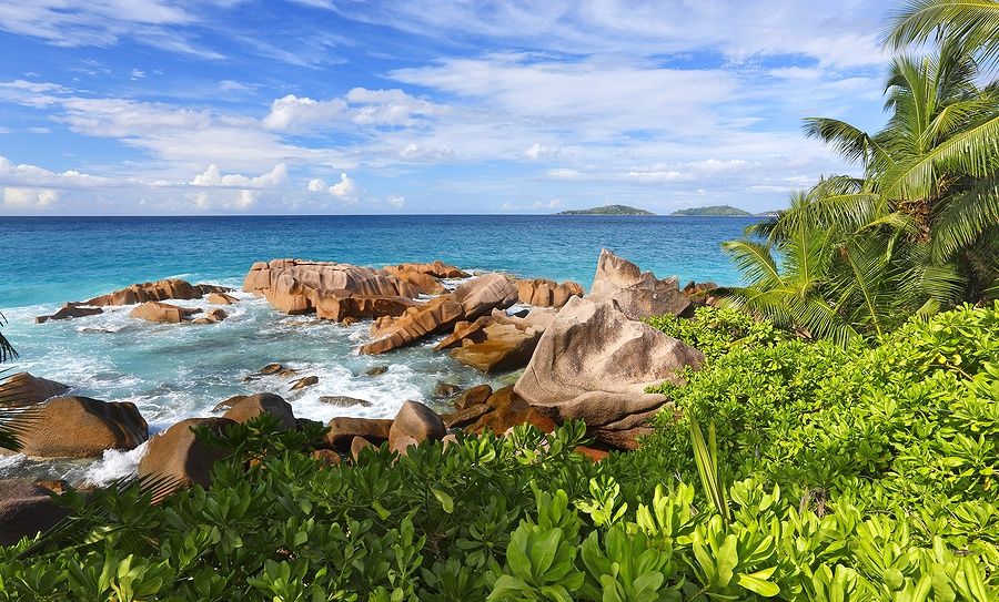 Rocce granitiche e vegetazione tropicale sull'isola di La Digue, Seychelles.