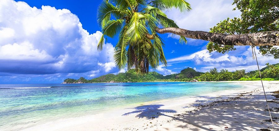 Spiaggia delle Seychelles con palme e acqua turchese sotto un cielo blu.