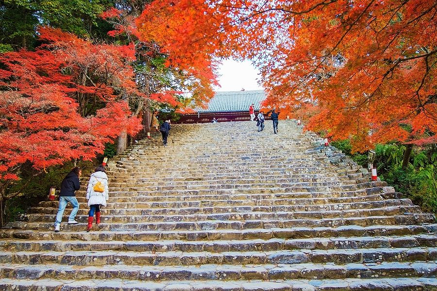 Scalinata in pietra verso il tempio Jingo-ji a Kyoto, incorniciata da foglie d'acero rosso.