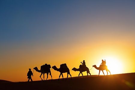 Carovana di cammelli nel deserto al tramonto con uomo