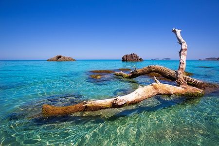 Spiaggia di Aigues Blanques a Ibiza con acque cristalline e tronco levigato.