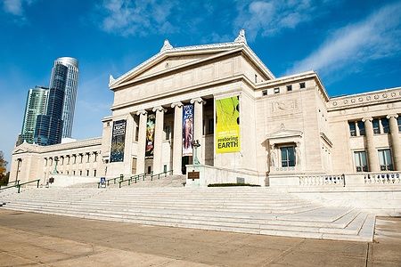 Vista mattutina del Field Museum of Natural History a Chicago.