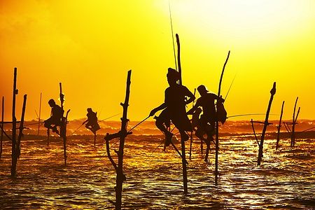 Pescatori su pali al tramonto vicino a Galle, Sri Lanka.