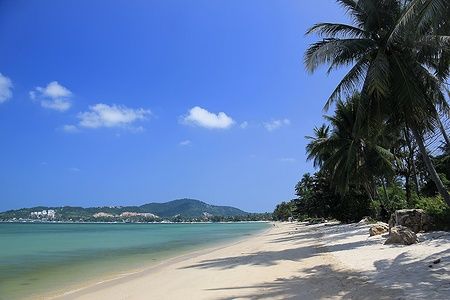 Spiaggia di Bophut a Koh Samui con palme e mare azzurro.