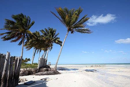 Spiaggia caraibica a Cayo Guillermo, Cuba, con palme e sabbia bianca.