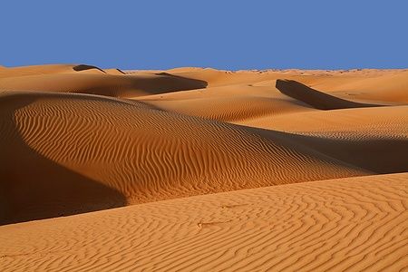 Dune di sabbia al mattino nel deserto di Wahiba Sands, Oman.