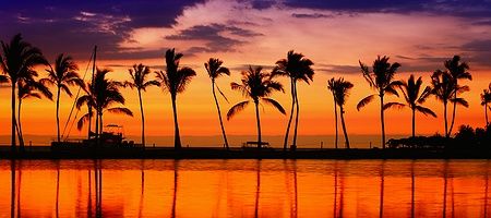 Tramonto con palme su sfondo arancione, Big Island, Hawaii
