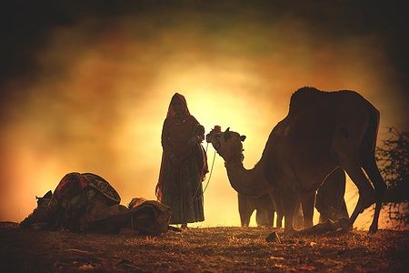 Donna con cammello al tramonto nel deserto del Thar durante il Pushkar Mela.