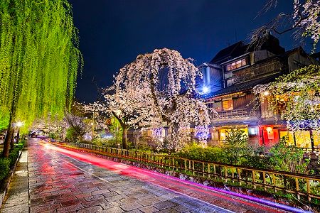 Quartiere Gion a Kyoto, illuminato di notte con alberi in fiore e luci.