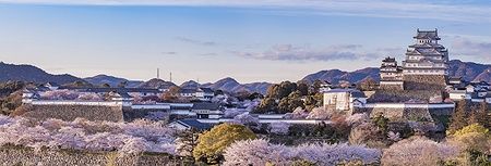 Himeji Castle illuminato tra i ciliegi in fiore a Himeji, Giappone.