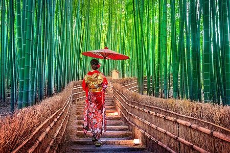 Donna in kimono nel bosco di bambù a Kyoto, Giappone.
