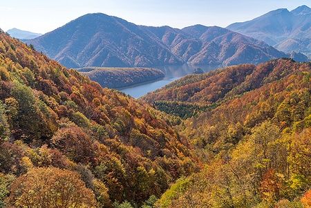 Paesaggio autunnale della gola di Nakatsugawa con foreste colorate e un lago.