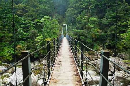 Ponte sospeso nella foresta pluviale di Yakusugi Land, Yakushima, Giappone.
