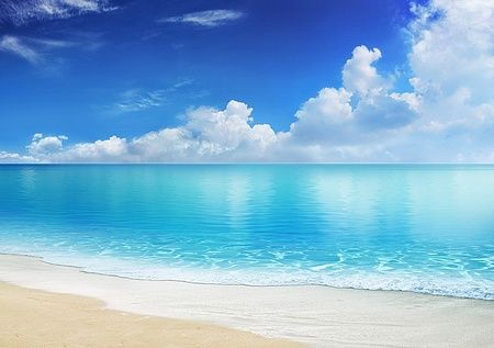 Spiaggia caraibica con sabbia bianca e mare cristallino sotto un cielo azzurro.
