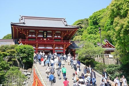 Folla di persone sulla scalinata del tempio Tsurugaoka Hachiman-gu a Kamakura, in primavera.