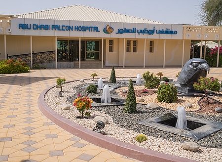 Ingresso dell'Abu Dhabi Falcon Hospital con giardino e fontane.