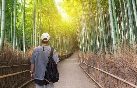 Uomo con zaino cammina nella foresta di bambù ad Arashiyama, Kyoto.