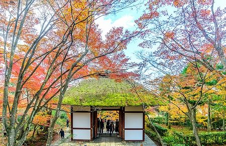 Ingresso del tempio Jojakkoji ad Arashiyama con foglie autunnali colorate.