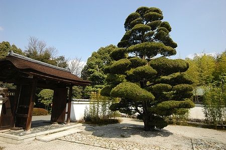 La Jo-an Tea Ceremony House a Inuyama, Giappone, con un giardino tradizionale.