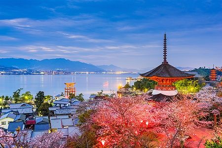 Veduta di Miyajima, Hiroshima in primavera, con fiori di ciliegio e torii galleggiante.