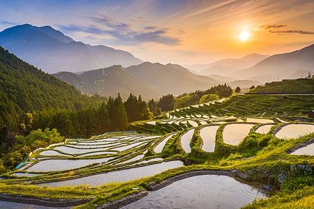 Terrazze di riso illuminate dal tramonto a Maruyama-senmaida, Kumano, Giappone.