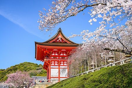 Tempio Kiyomizu-dera a Kyoto con ciliegi in fiore e cielo blu.