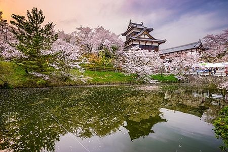 Veduta di Koriyama Castle a Nara, Giappone, con ciliegi in fiore e laghetto riflettente.