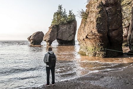 Uomo guarda le formazioni rocciose di Hopewell Rocks all'alba nella baia di Fundy.