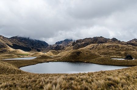 Paesaggio delle colline e laghi del Parco Nazionale El Cajas in Ecuador.