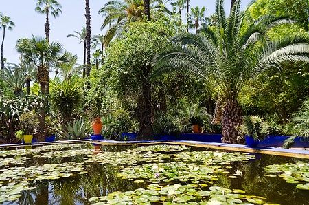 Stagno con ninfee nel giardino Majorelle di Marrakech, circondato da palme.